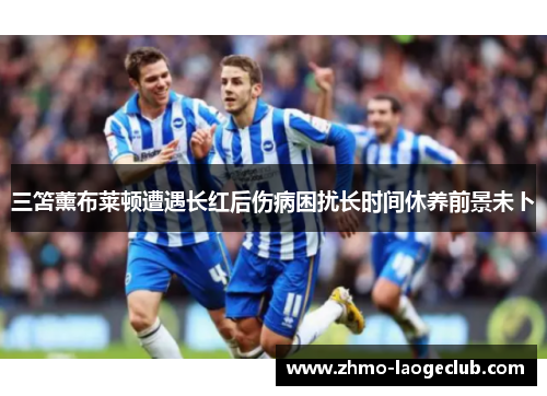 三笘薰布莱顿遭遇长红后伤病困扰长时间休养前景未卜